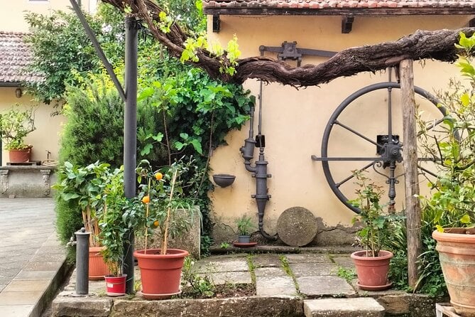 Arezzo Wine Tasting