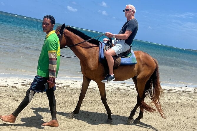 Montego Bay Horseback Riding