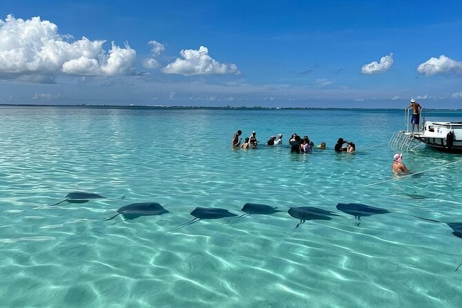 Stingray City Snorkeling