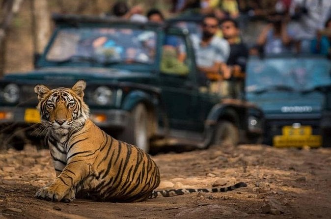 Jaipur Golden Triangle Tour