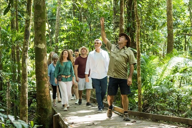 Daintree Rainforest Day Tour