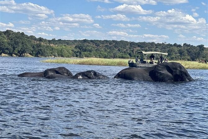 Chobe Day Trip Adventure