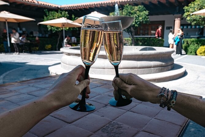Queretaro Wine & Cheese Tour