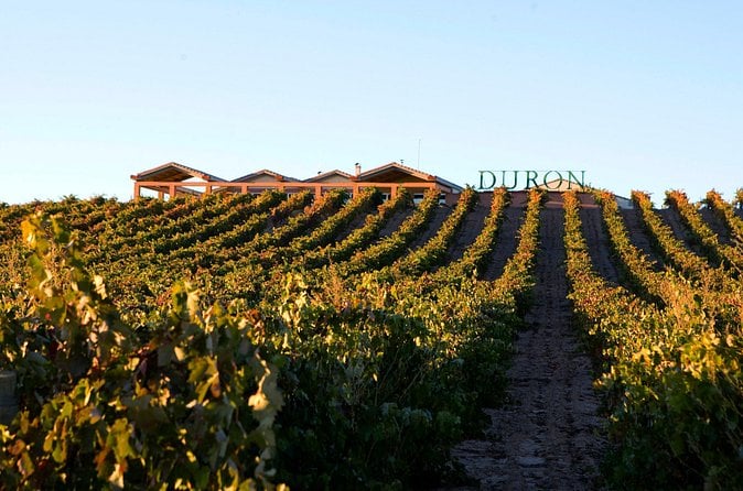 Segovia Winery Tour