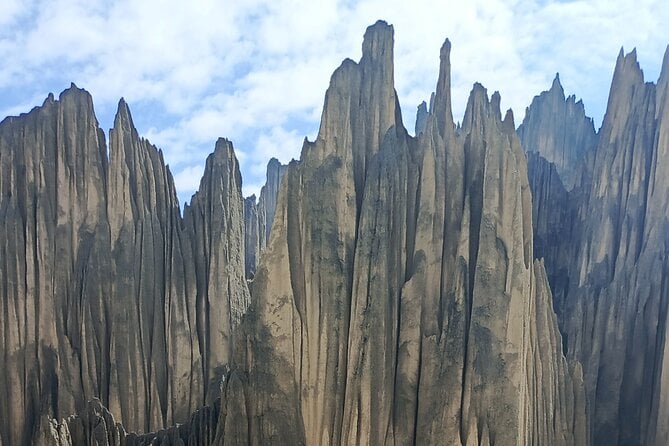Valle de las Ánimas Day Tour