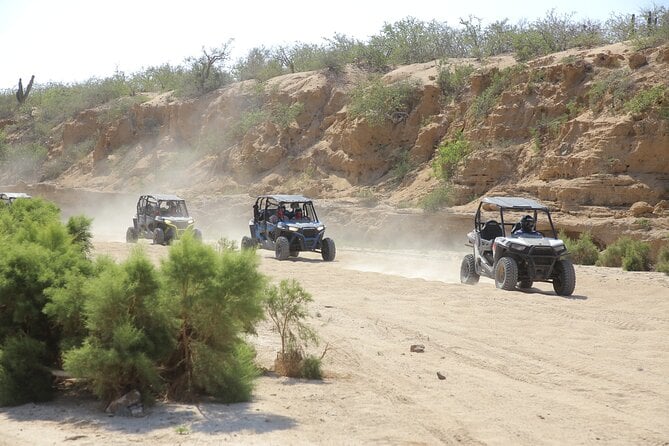 Los Cabos Camel Ride