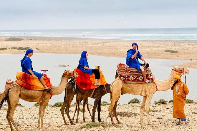 Sahara Desert Camel Ride