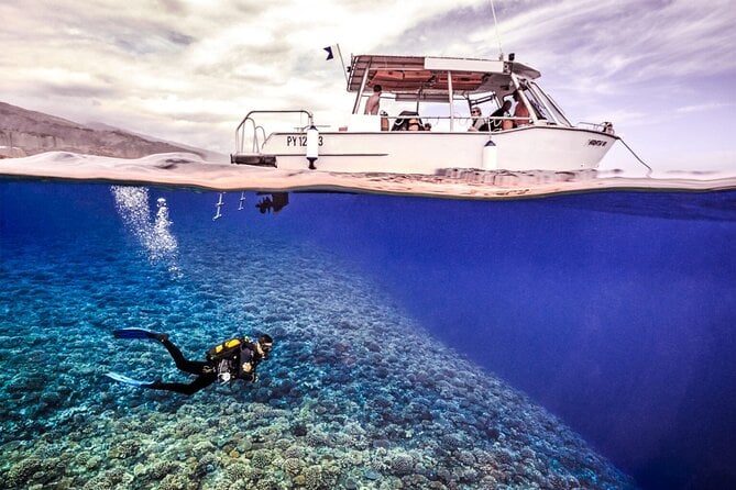 Diving Baptism