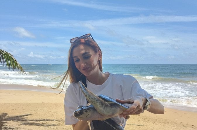 Galle Day Tour from Colombo