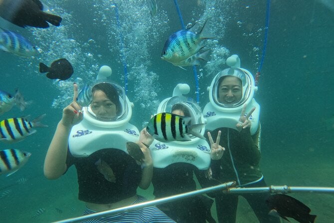 Cham Island Tour Adventure