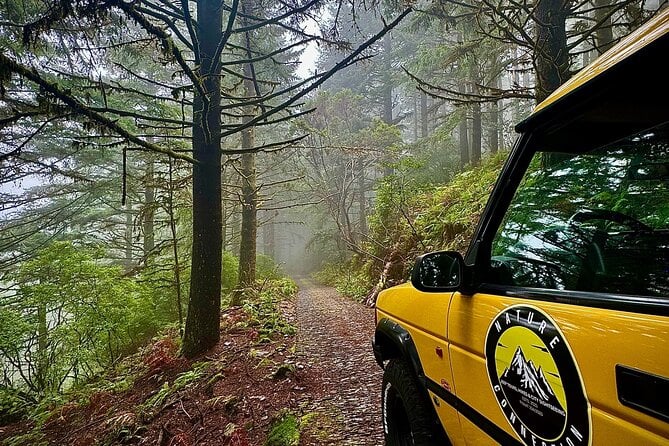 Madeira Jeep Tour