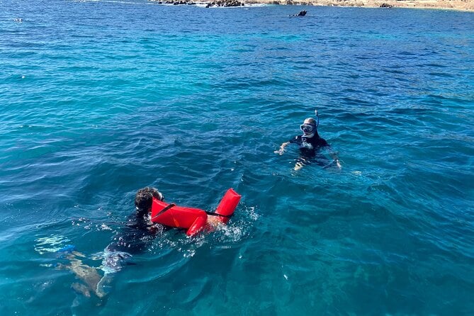 Sea of Cortez Snorkeling