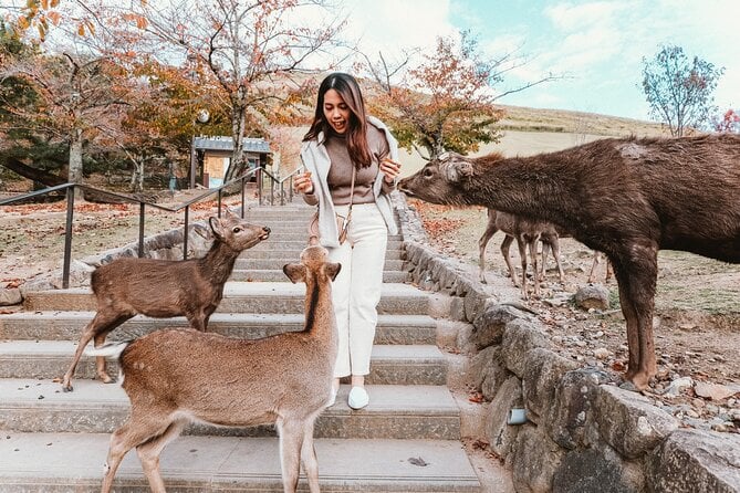 Kyoto & Nara Day Tour from Osaka
