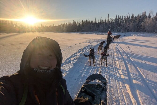 Yellowknife Dog Sledding