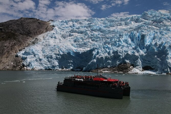 Punta Arenas Whale & Penguin Cruise