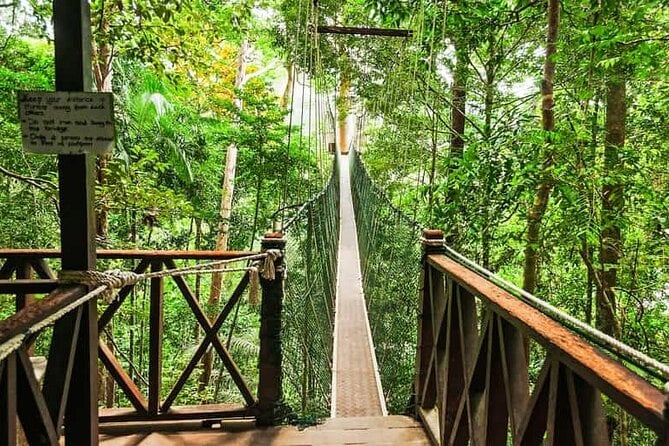 Taman Negara Day Trip