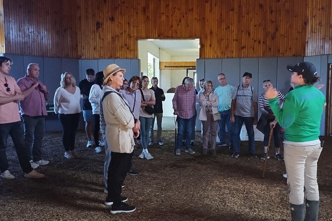 Kentucky Horse Farm Tour