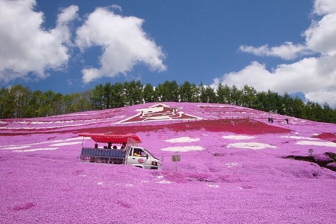 Hokkaido Cherry Blossom Tour