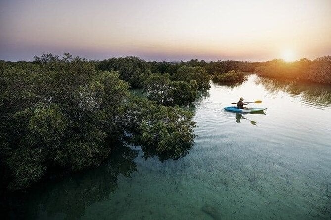 Al Thakira Mangrove Kayaking