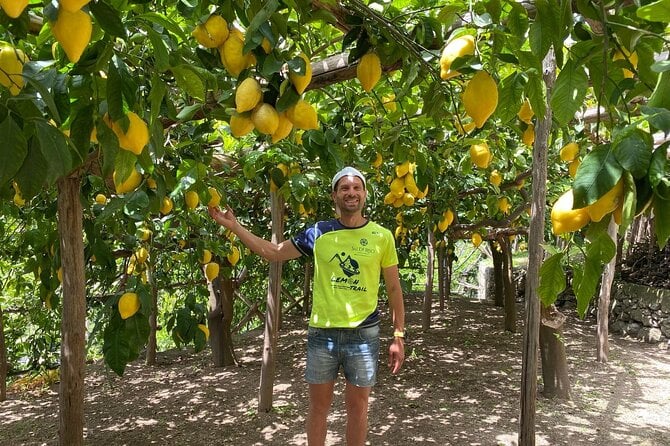 Amalfi Lemon Farm Tour