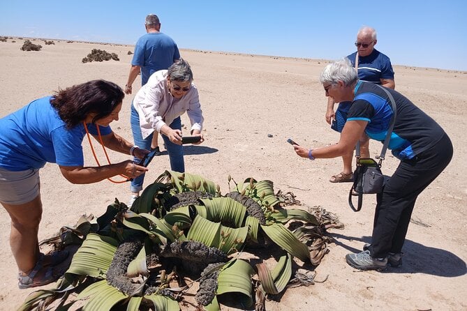 Walvis Bay & Swakopmund Day Tour