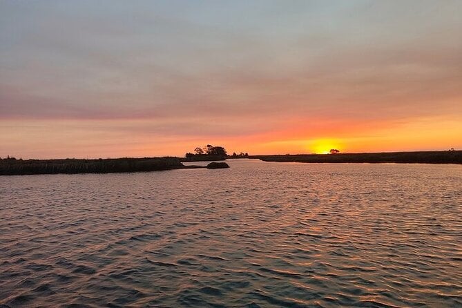 Moliceiro Cruise