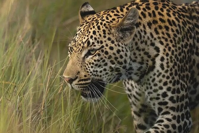 Rwanda Private Tour