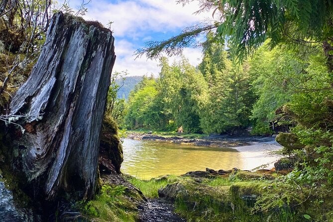 Ketchikan Rainforest Walk