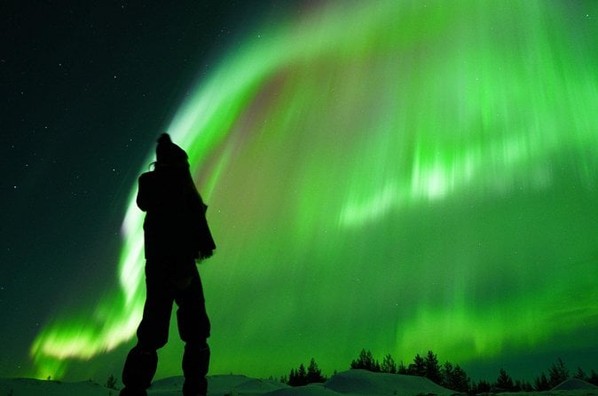 Chase the Aurora - Rovaniemi