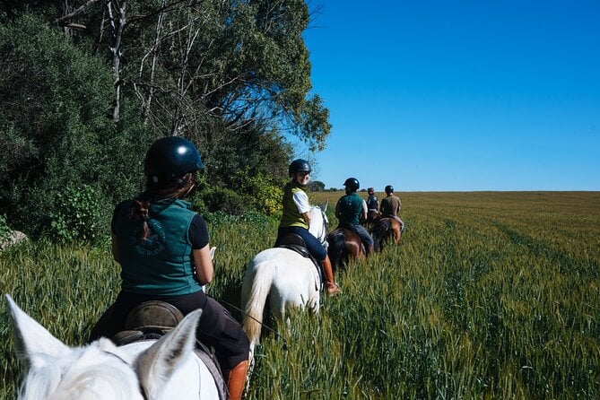 Doñana National Park Tour