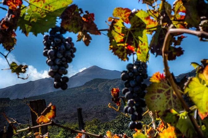 Etna Wine Tour - Palermo
