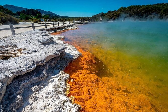 Rotorua Geothermal Experience