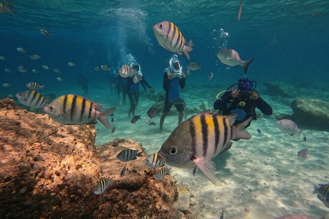 Abades Snorkeling Tour
