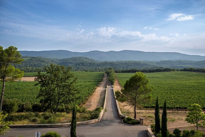 Provence Wine Tour - Nice