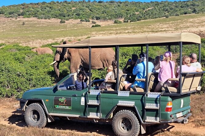 Schotia Game Reserve Safari