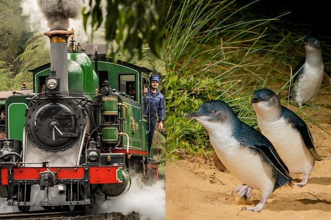 Puffing Billy & Penguin Parade Tour