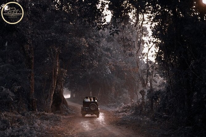 Ranthambore Tiger Safari