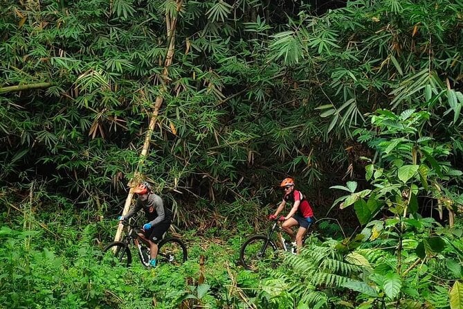 Batur Volcano Trek