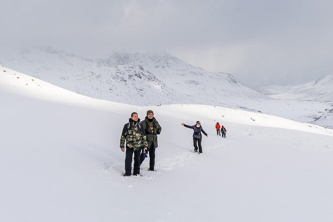 Arctic Nature Tour Tromsø