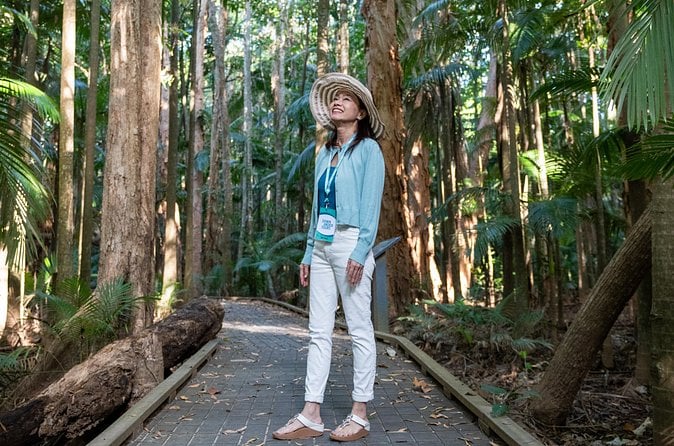 Skyrail Rainforest Cableway