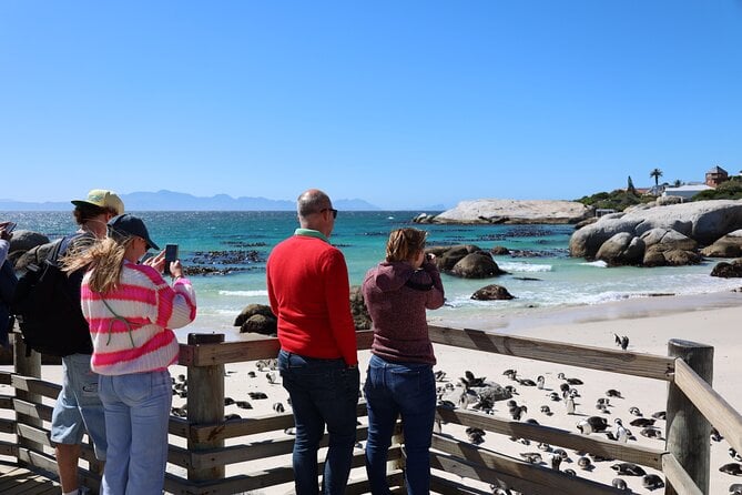 Boulders Beach Penguin Tour