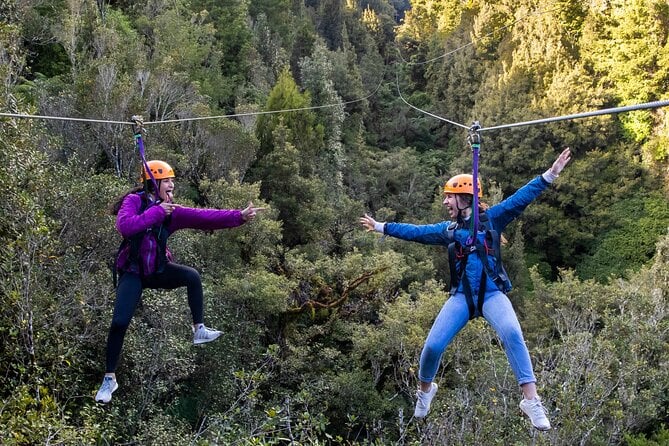 Rotorua Ziplines: Sky-Soaring Adventure