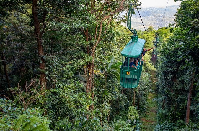 St Lucia Rainforest Escape