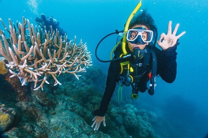 Hurghada Scuba Diving Day Trip