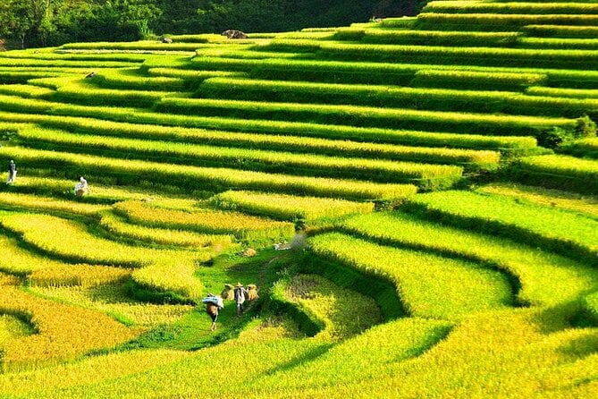 Pu Luong Trekking Adventure
