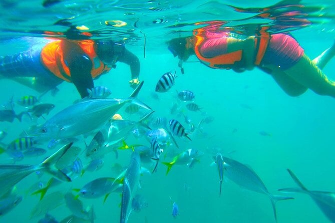 Kota Kinabalu Snorkeling Tour