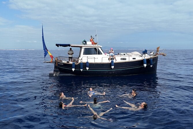 Valencia Catamaran Cruise