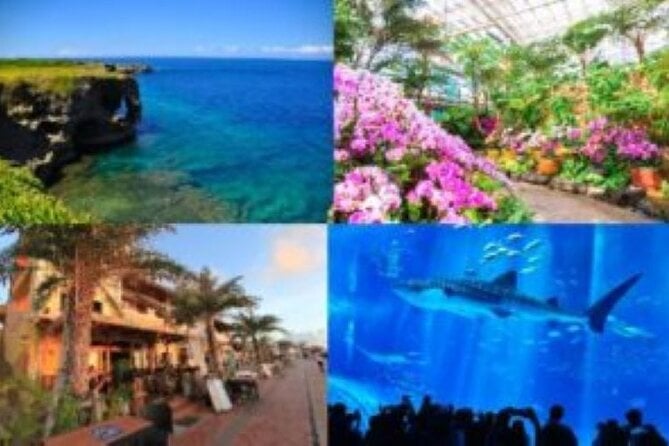 Okinawa Churaumi Aquarium Tour