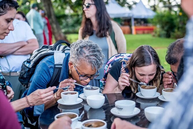 Fairview Coffee Farm Tour