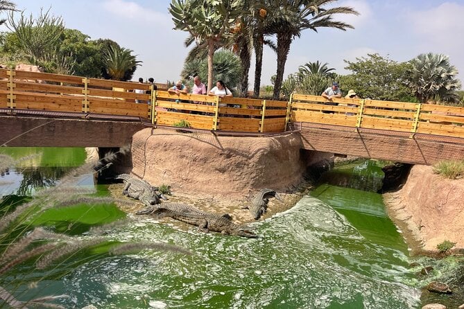 Crocoparc & Tree-Climbing Goats Tour